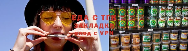 крисы Ростов