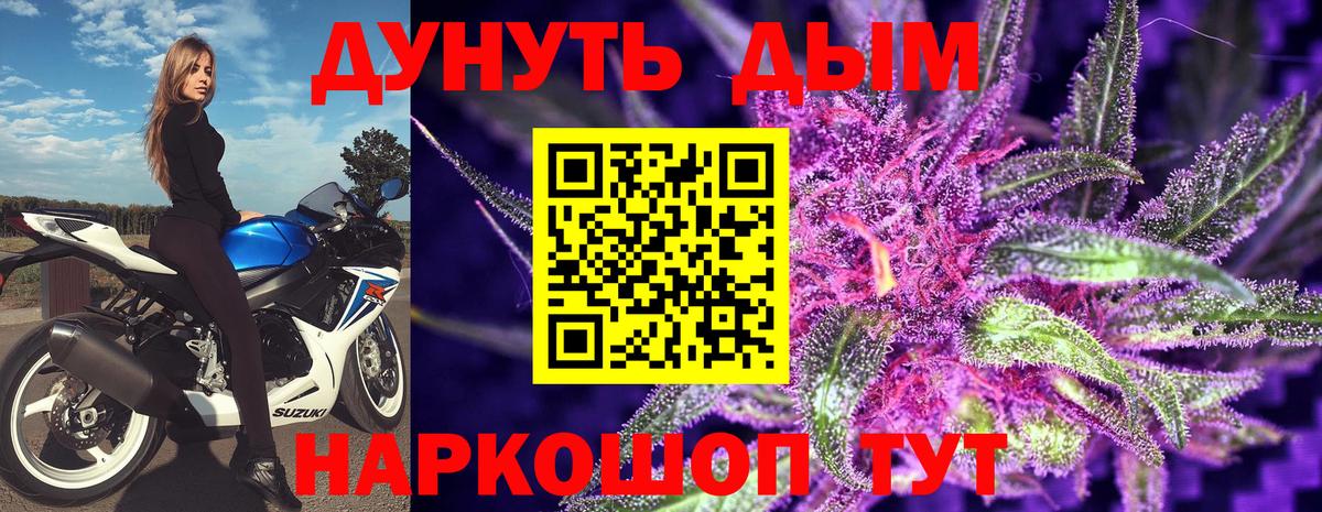 Бошки марихуана сатива  Вход с VPN  Марихуана план  МАРИХУАНА сатива  Чернушка 